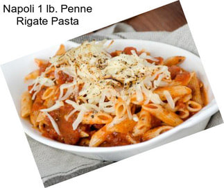 Napoli 1 lb. Penne Rigate Pasta