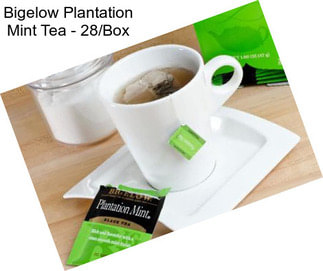 Bigelow Plantation Mint Tea - 28/Box