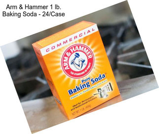 Arm & Hammer 1 lb. Baking Soda - 24/Case