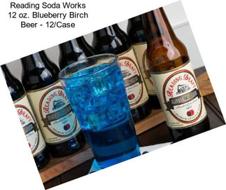 Reading Soda Works 12 oz. Blueberry Birch Beer - 12/Case