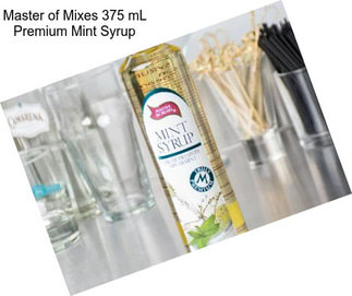 Master of Mixes 375 mL Premium Mint Syrup