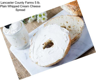 Lancaster County Farms 5 lb. Plain Whipped Cream Cheese Spread