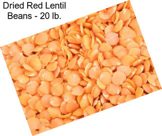 Dried Red Lentil Beans - 20 lb.