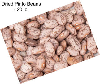 Dried Pinto Beans - 20 lb.