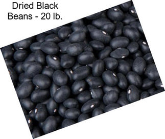 Dried Black Beans - 20 lb.