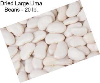 Dried Large Lima Beans - 20 lb.