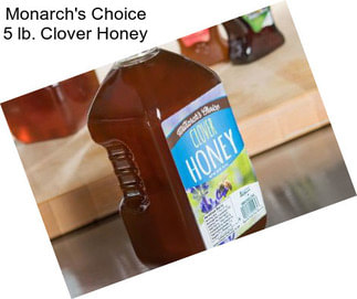 Monarch\'s Choice 5 lb. Clover Honey