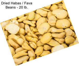 Dried Habas / Fava Beans - 20 lb.