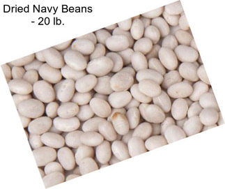 Dried Navy Beans - 20 lb.