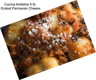 Cucina Andolina 5 lb. Grated Parmesan Cheese