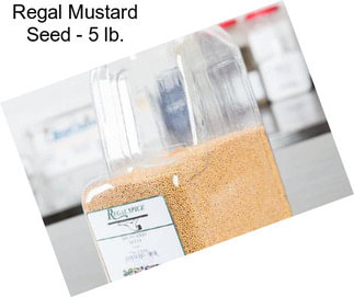 Regal Mustard Seed - 5 lb.