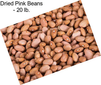 Dried Pink Beans - 20 lb.