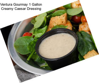 Ventura Gourmay 1 Gallon Creamy Caesar Dressing