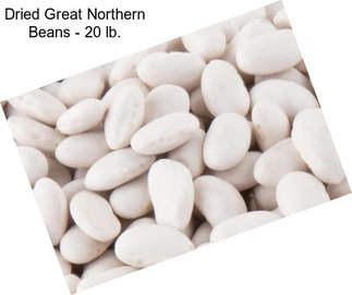 Dried Great Northern Beans - 20 lb.