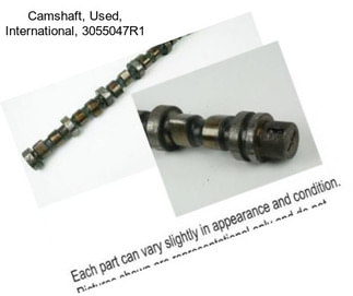 Camshaft, Used, International, 3055047R1
