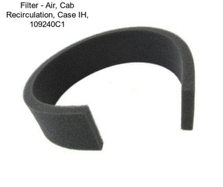 Filter - Air, Cab Recirculation, Case IH, 109240C1