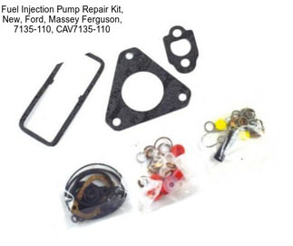 Fuel Injection Pump Repair Kit, New, Ford, Massey Ferguson, 7135-110, CAV7135-110