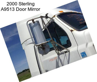 2000 Sterling A9513 Door Mirror