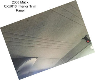 2008 Mack CXU613 Interior Trim Panel