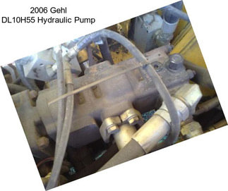 2006 Gehl DL10H55 Hydraulic Pump