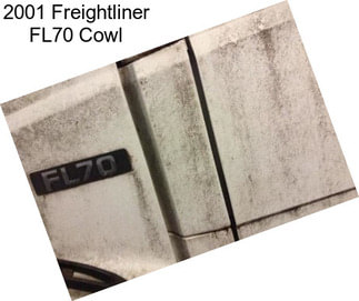 2001 Freightliner FL70 Cowl