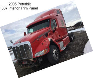 2005 Peterbilt 387 Interior Trim Panel