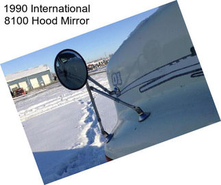 1990 International 8100 Hood Mirror