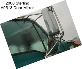 2008 Sterling A9513 Door Mirror