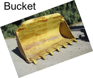 Bucket