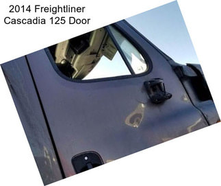 2014 Freightliner Cascadia 125 Door