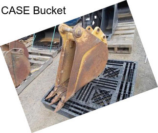 CASE Bucket