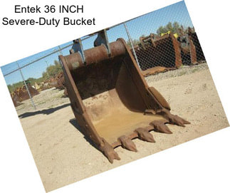 Entek 36 INCH Severe-Duty Bucket