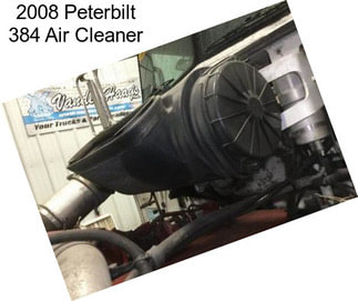 2008 Peterbilt 384 Air Cleaner
