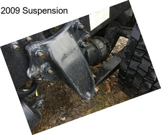 2009 Suspension