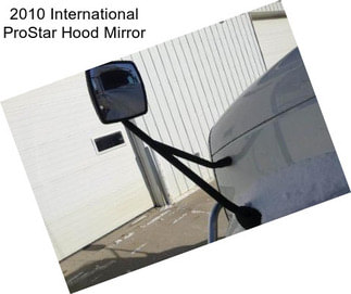 2010 International ProStar Hood Mirror