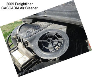 2009 Freightliner CASCADIA Air Cleaner