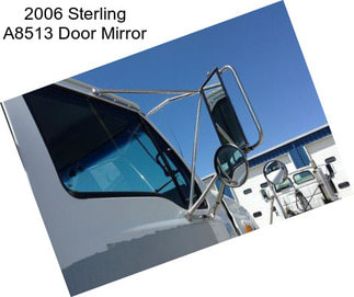 2006 Sterling A8513 Door Mirror