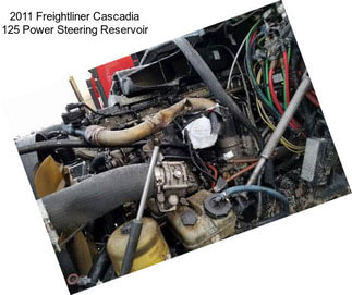 2011 Freightliner Cascadia 125 Power Steering Reservoir