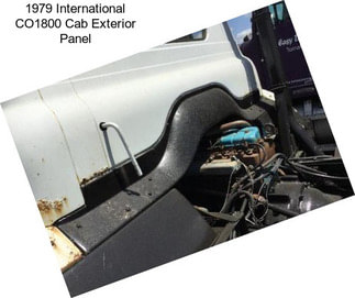 1979 International CO1800 Cab Exterior Panel