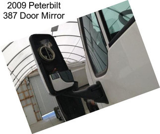 2009 Peterbilt 387 Door Mirror