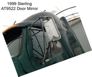 1999 Sterling AT9522 Door Mirror