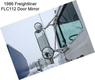 1986 Freightliner FLC112 Door Mirror