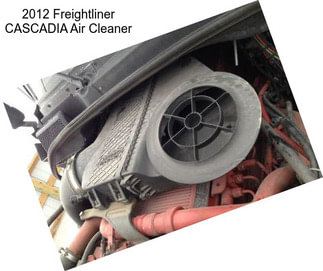 2012 Freightliner CASCADIA Air Cleaner