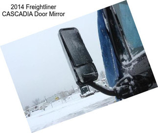 2014 Freightliner CASCADIA Door Mirror