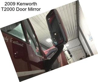 2009 Kenworth T2000 Door Mirror