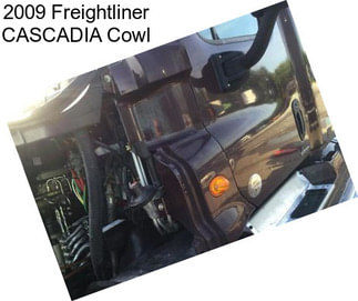 2009 Freightliner CASCADIA Cowl