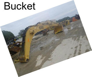 Bucket