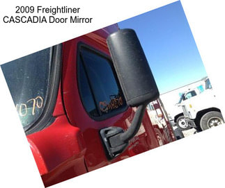 2009 Freightliner CASCADIA Door Mirror