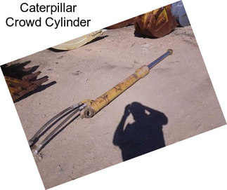 Caterpillar Crowd Cylinder