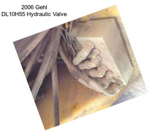 2006 Gehl DL10H55 Hydraulic Valve